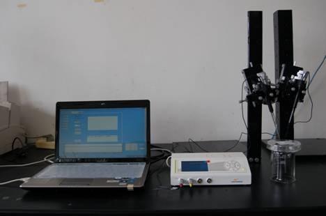 Motor Performance Curve Test